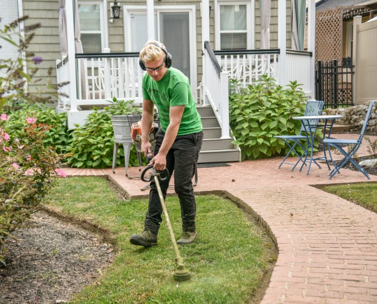 Edging, weed wacking, boarders