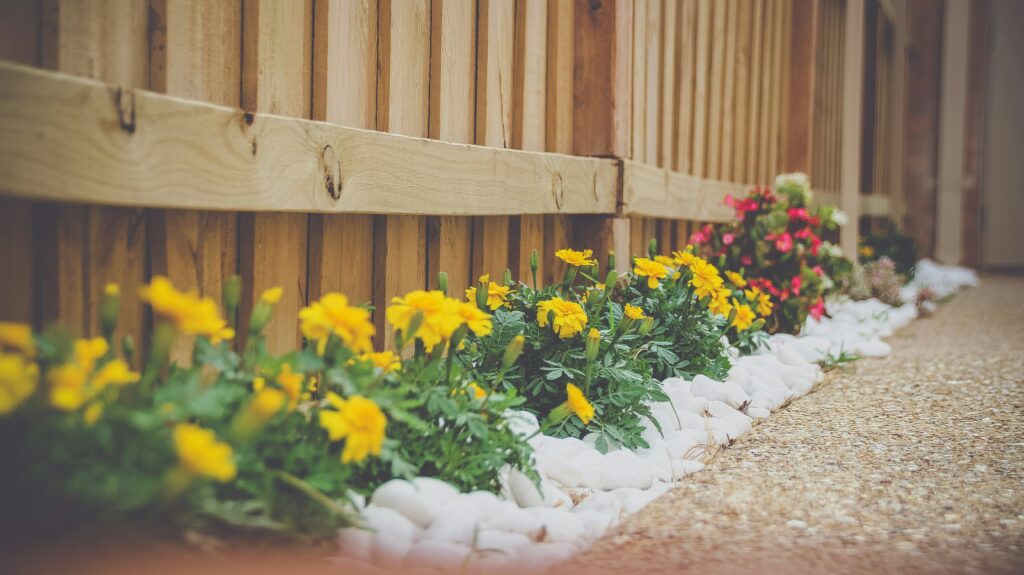 5 Landscaping Ideas to Enhance Your Curb Appeal