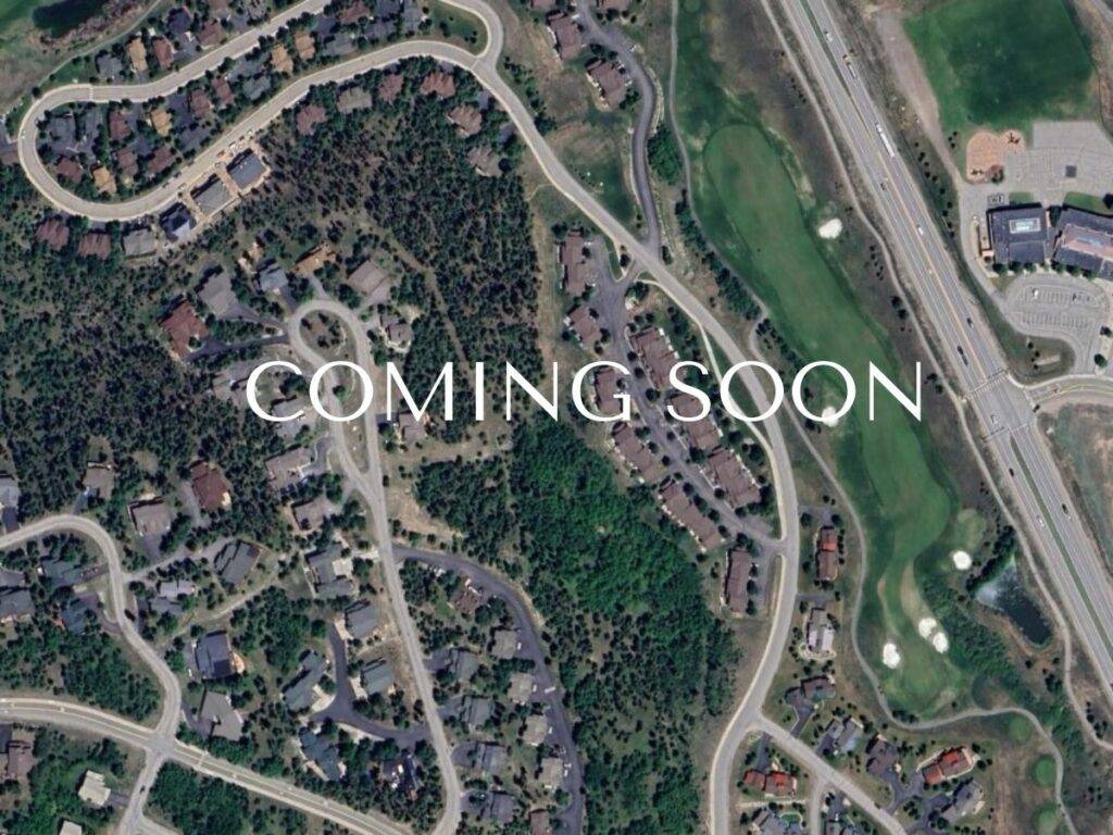 243 Kestrel Lane, Silverthorne, CO