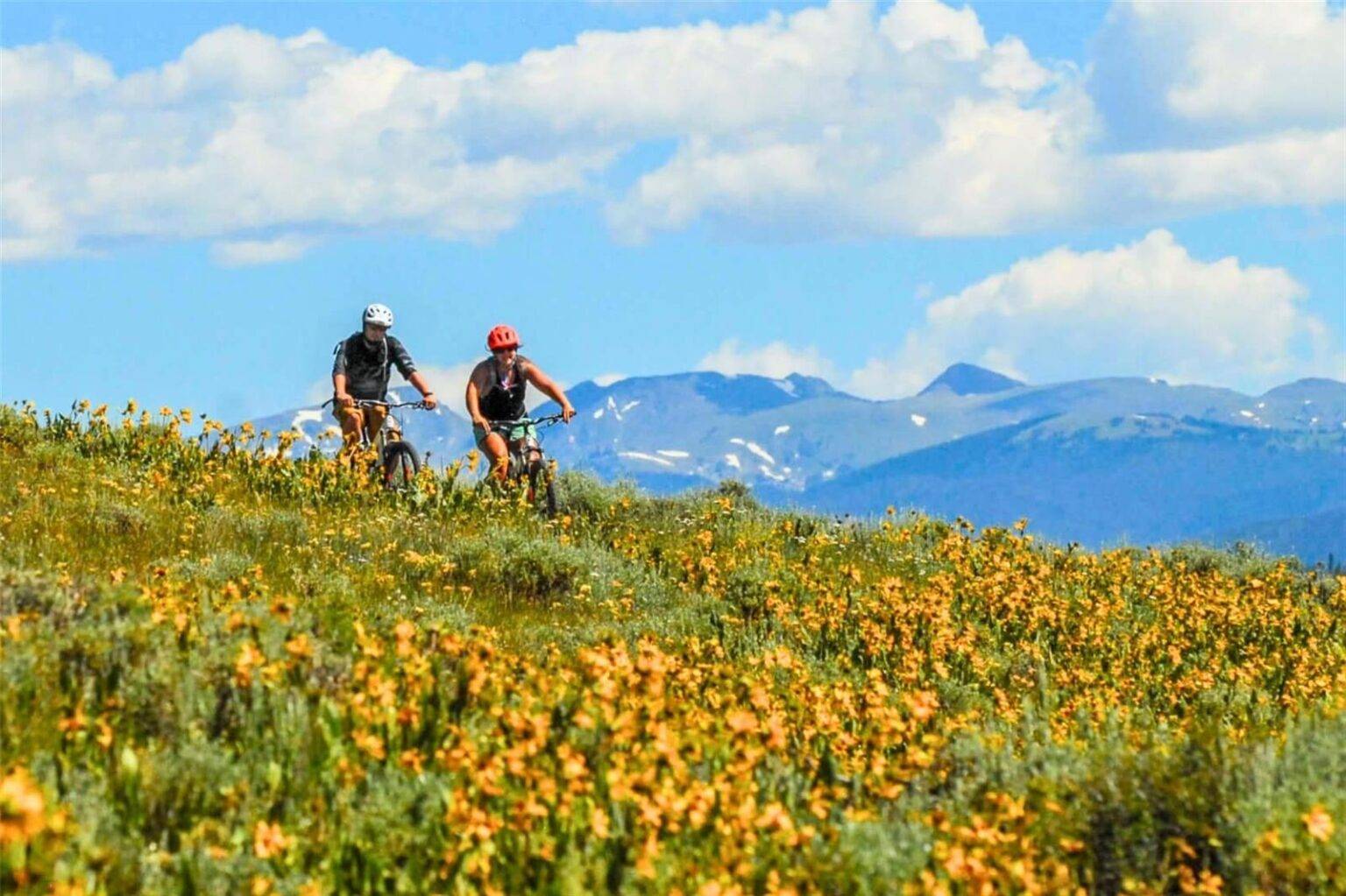 36 - 300 Base Camp mountain biking