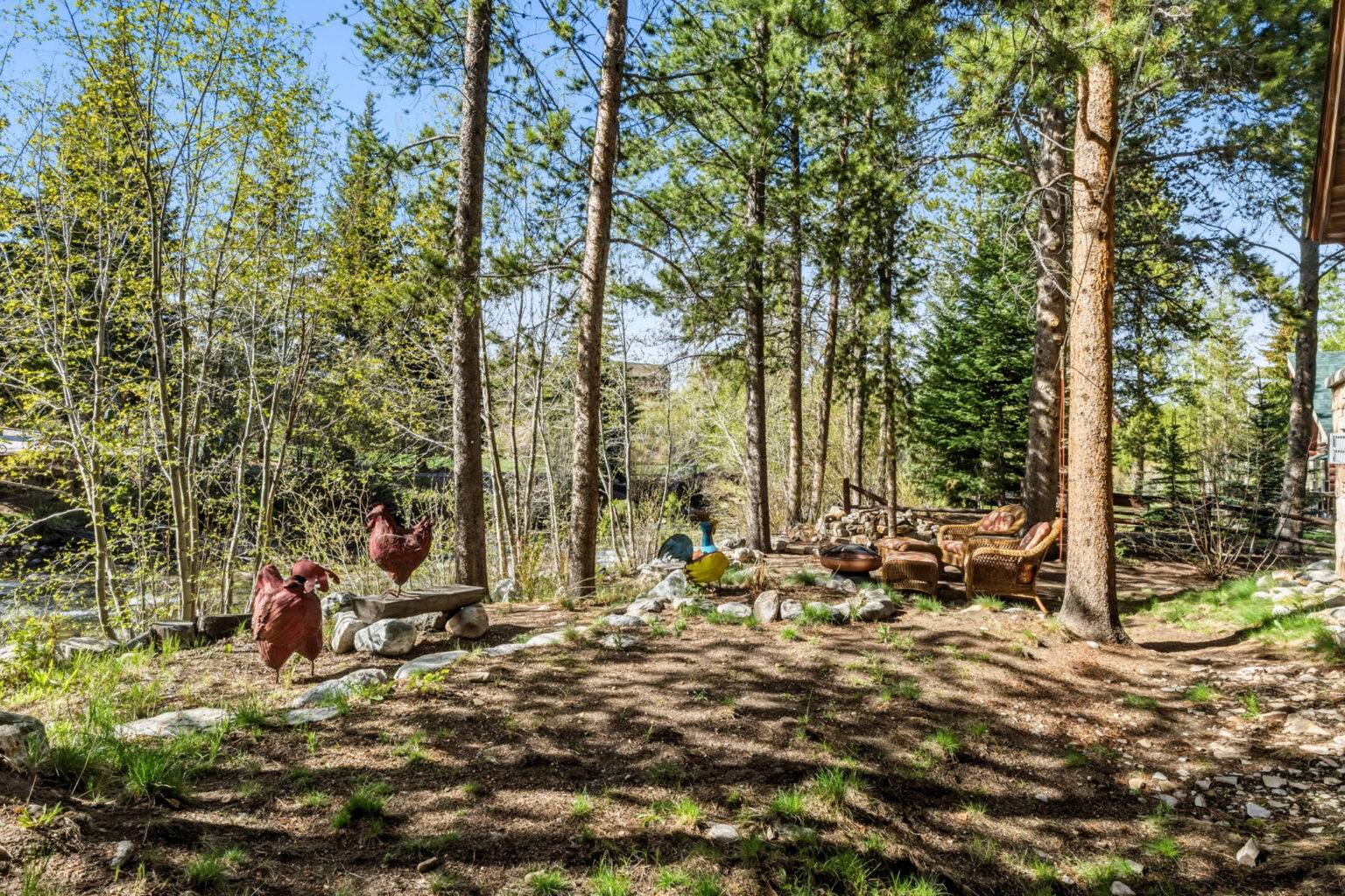34 - Yard - ackyard is situated right on the 10 Mile Creek
