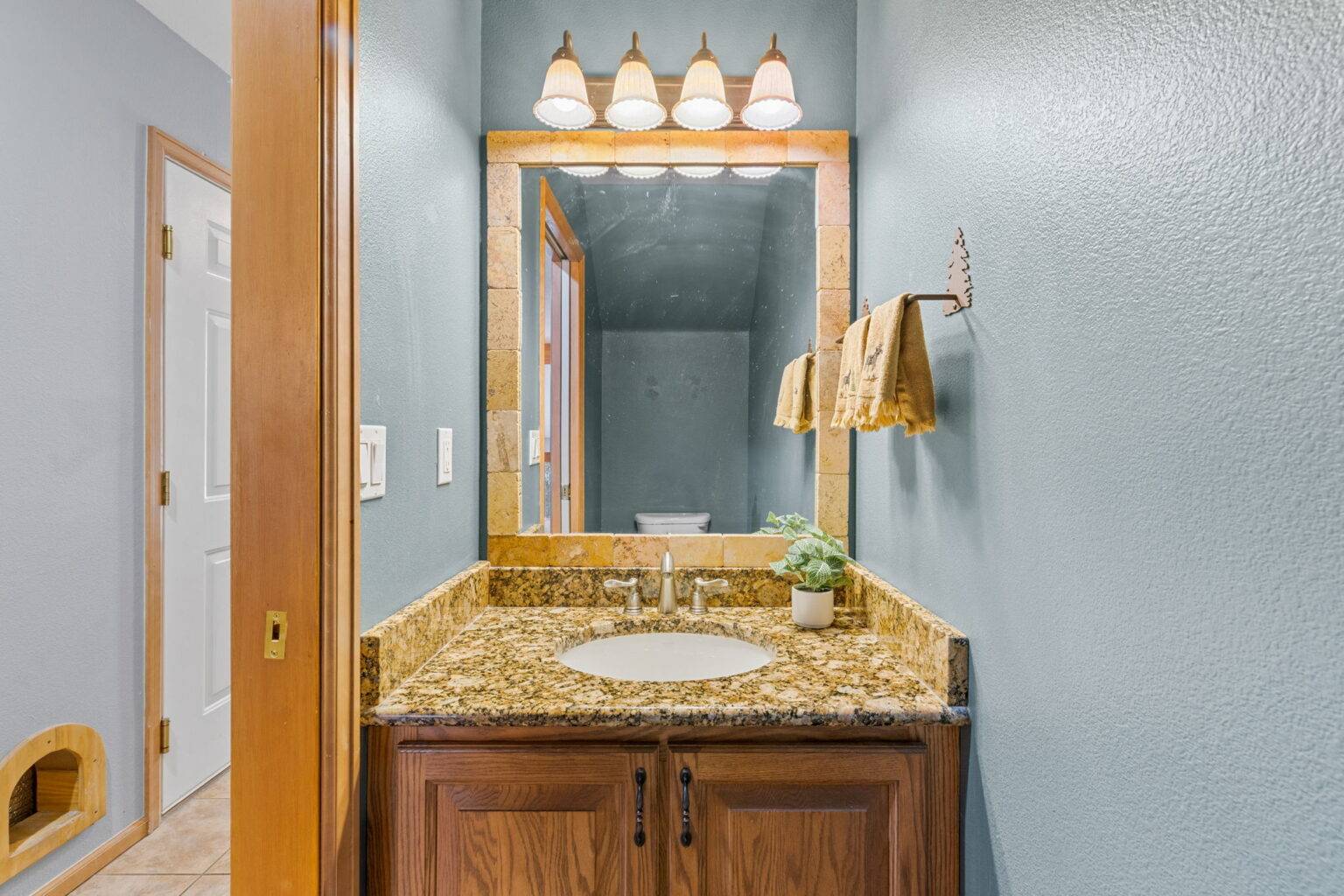 12 - 22-web-or-mls-243 Kestrel Ln-22