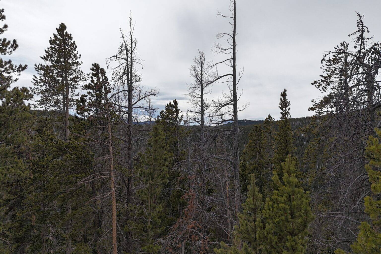 Idaho Springs
