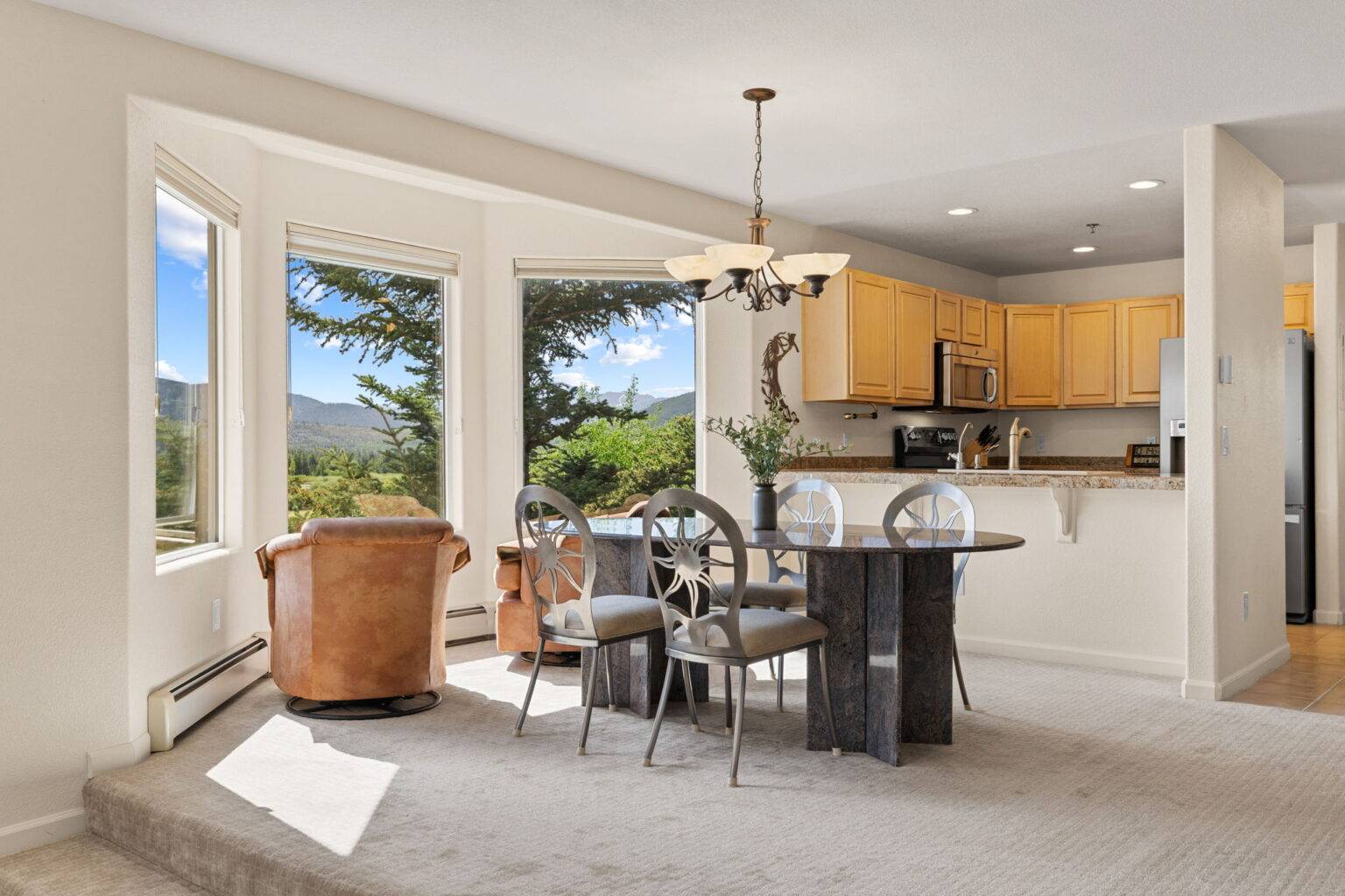 Frisco condo