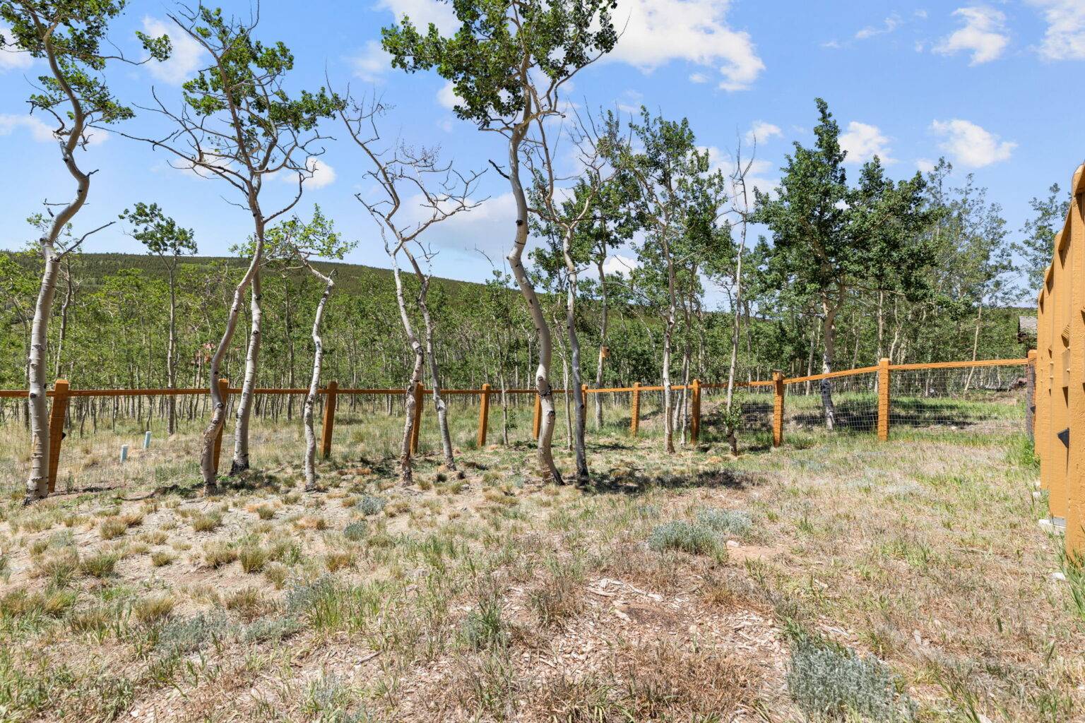 Warm Springs