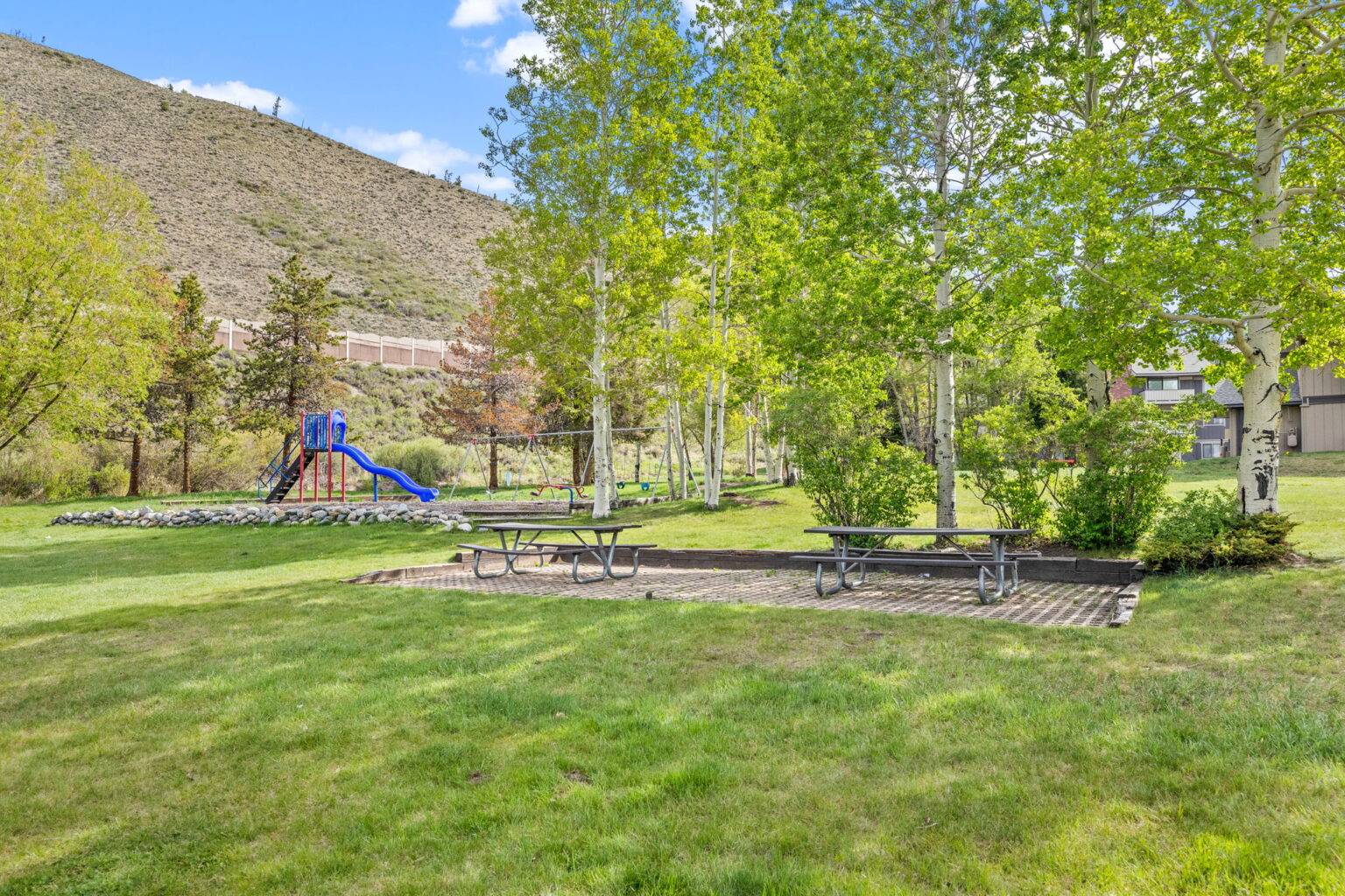 33-web-or-mls-763 Straight Creek Dr B101-33
