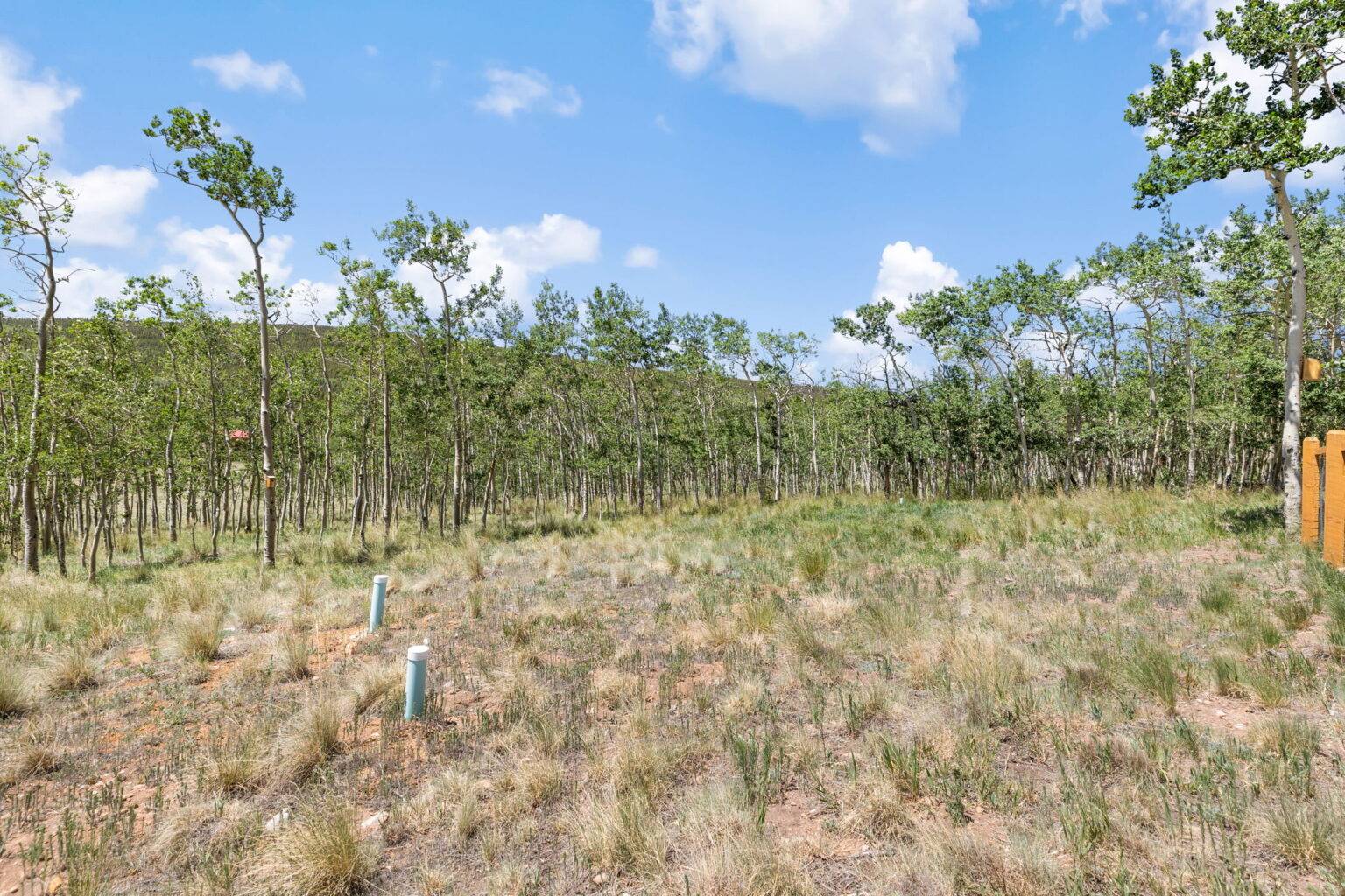 108 Sheep Ridge