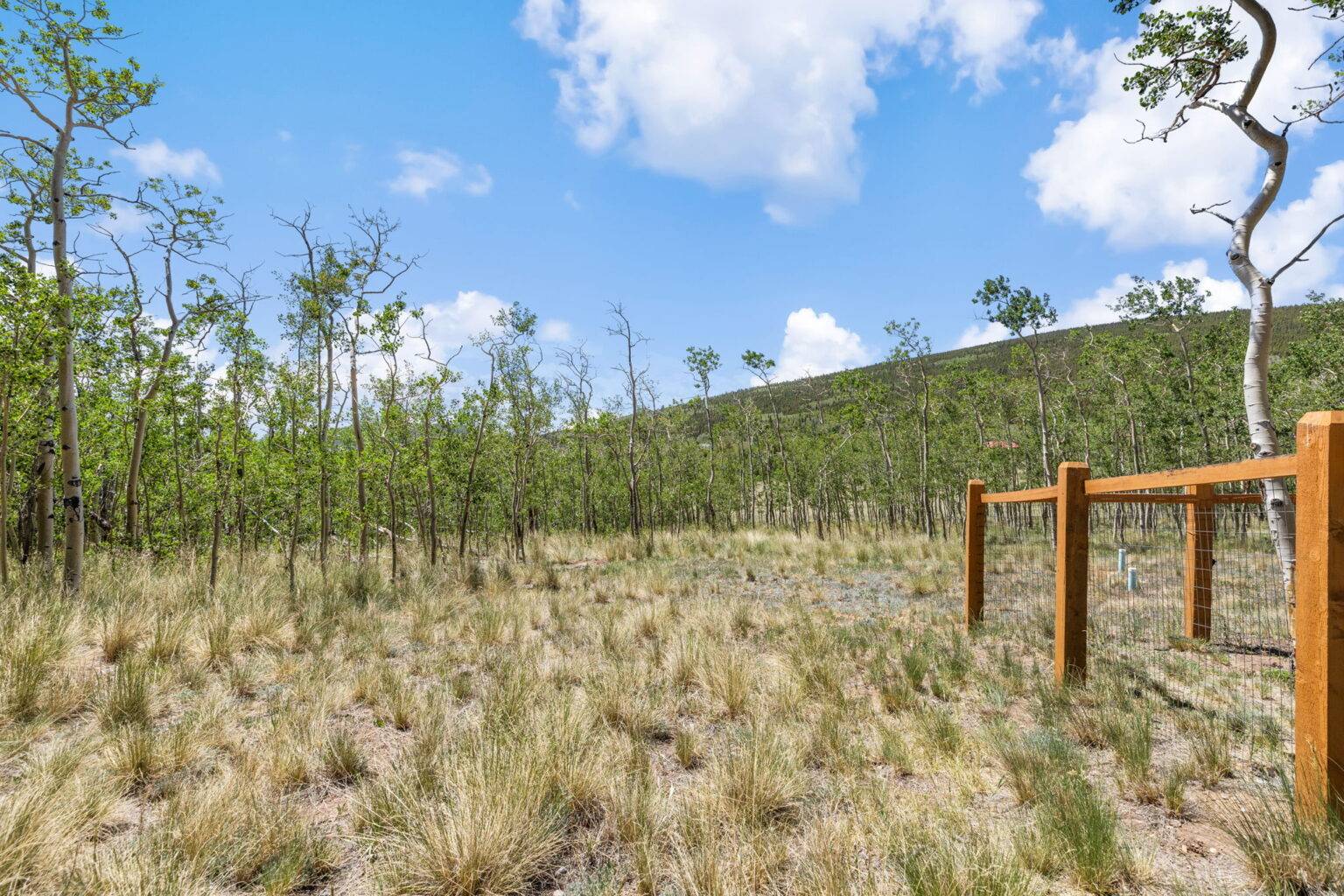 Warm Springs