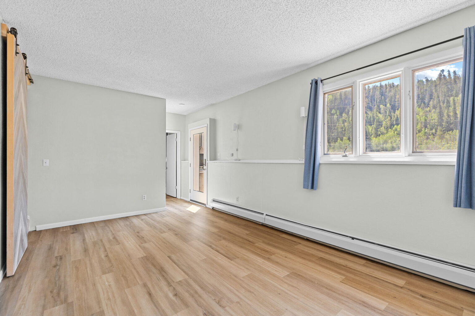 46-web-or-mls-1054 Straight Creek Dr-46
