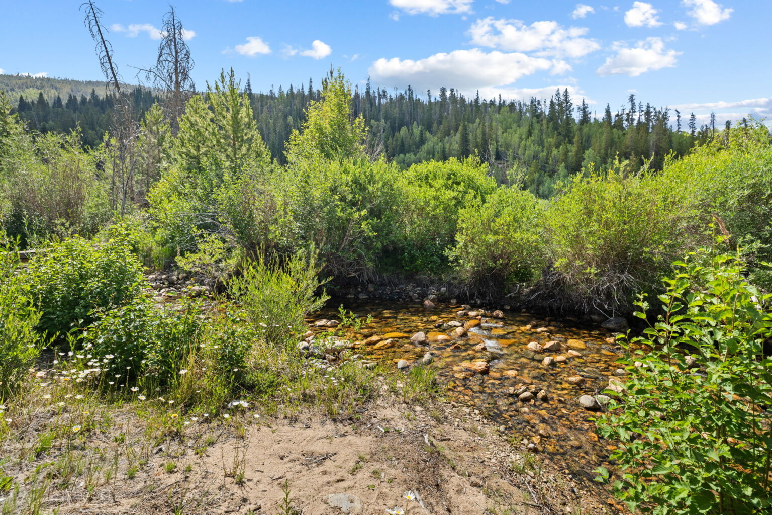 5-web-or-mls-1054 Straight Creek Dr-65