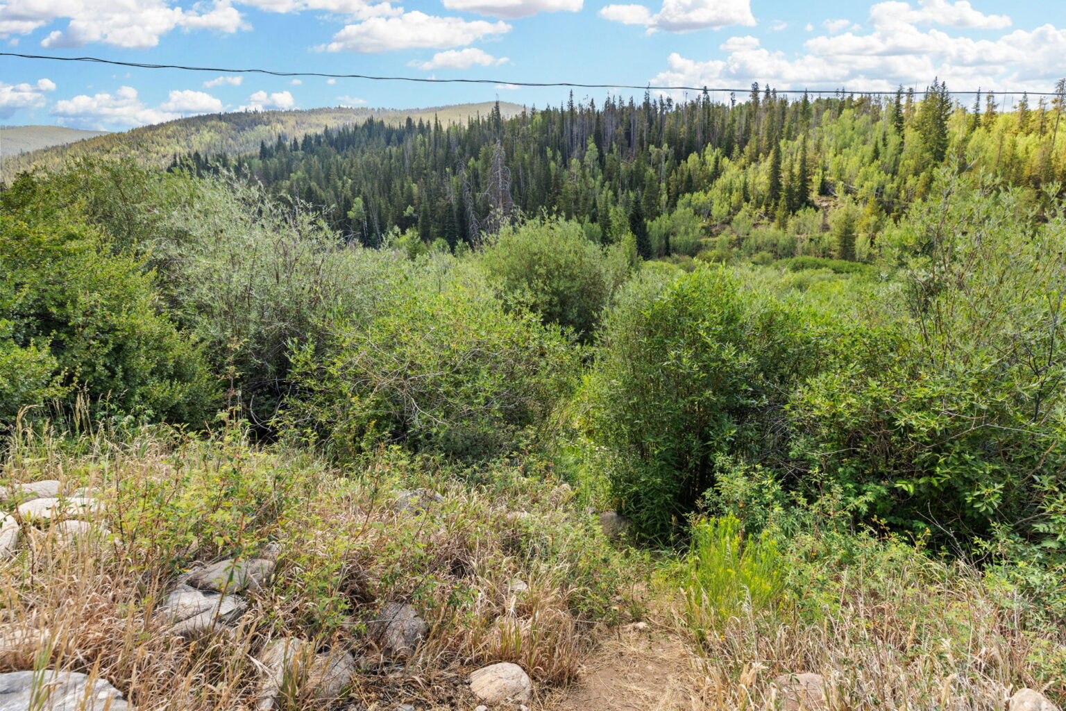 64-web-or-mls-1054 Straight Creek Dr-64