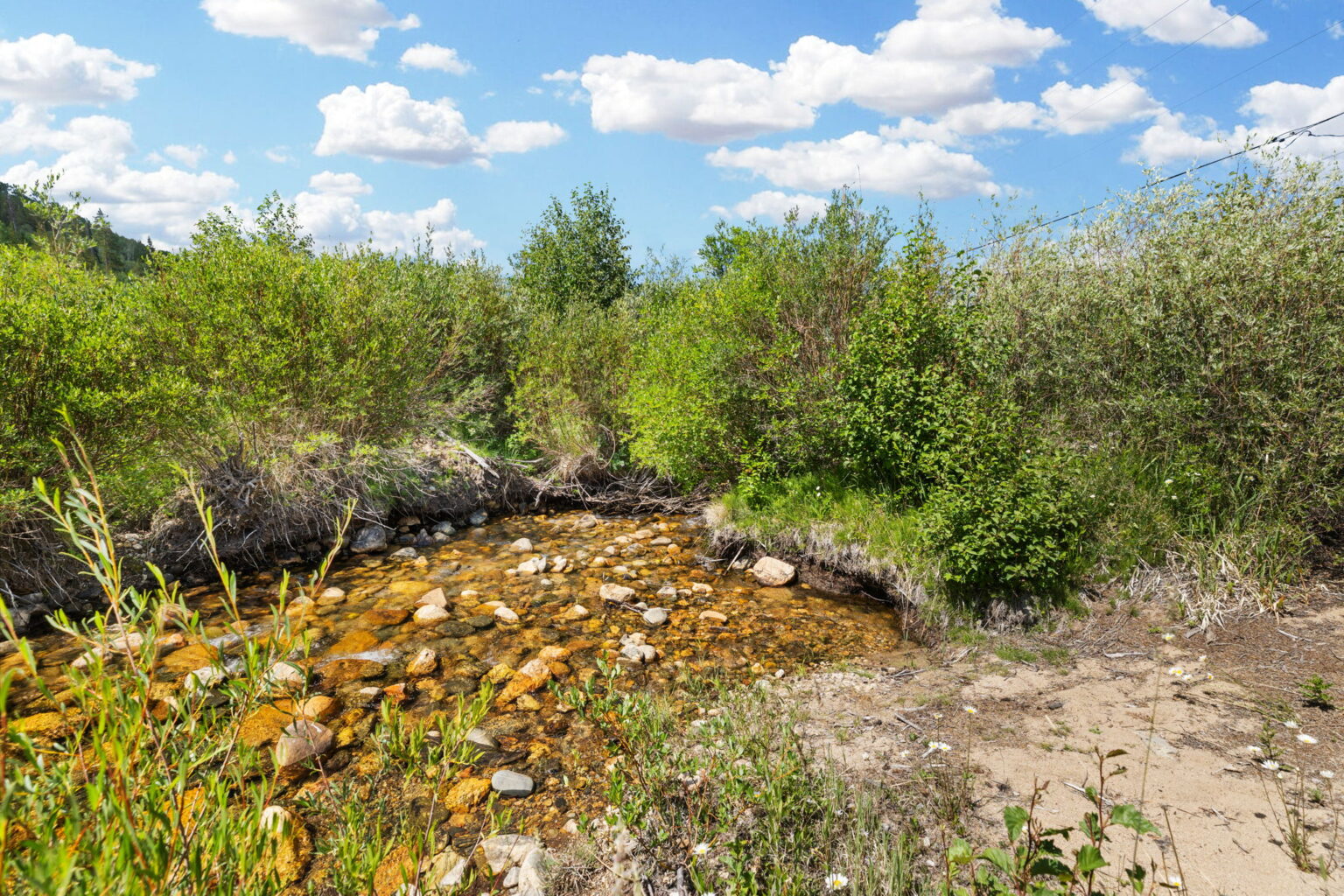 66-web-or-mls-1054 Straight Creek Dr-66