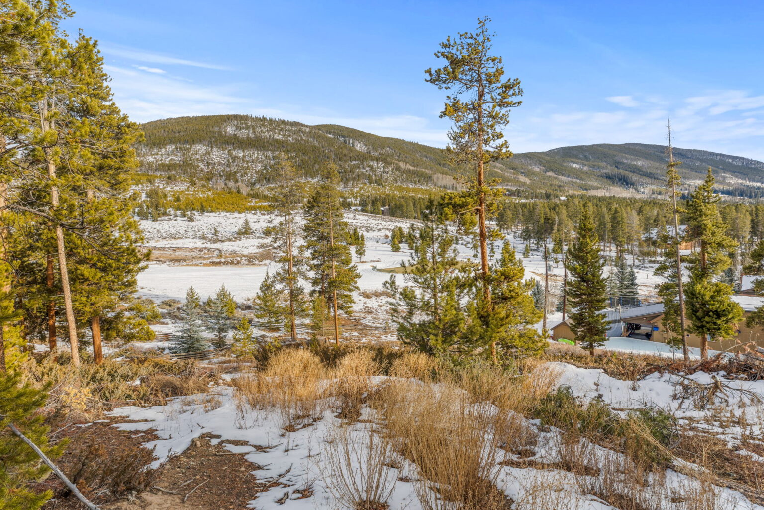 28-web-or-mls-442 Idlewild Dr-28