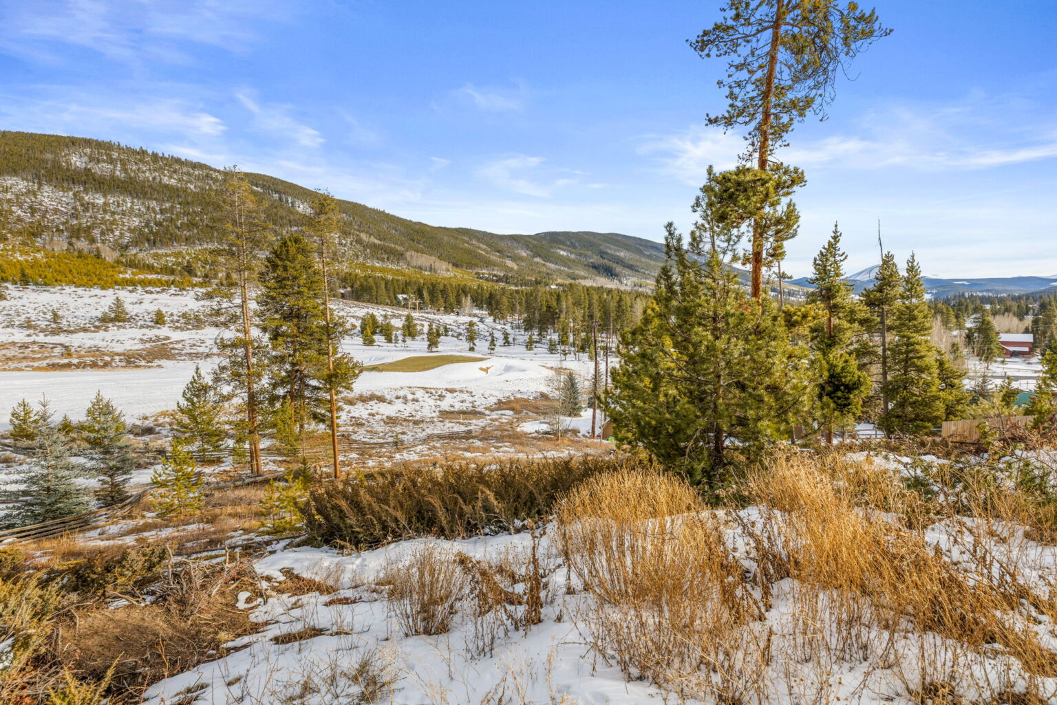 29-web-or-mls-442 Idlewild Dr-29