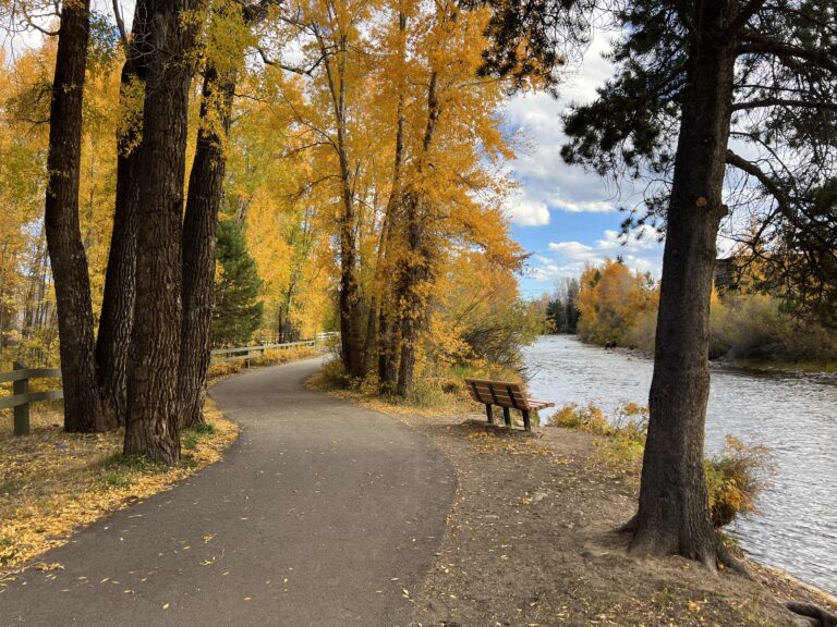 Fall foliage drives