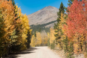 fall foliage drives