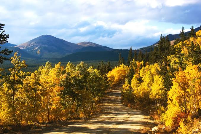 fall foliage drives